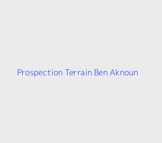 Prospection Terrain  Alger